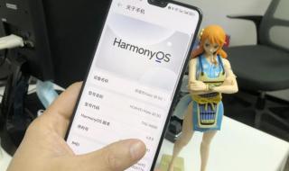 华为mate30怎么升级鸿蒙系统